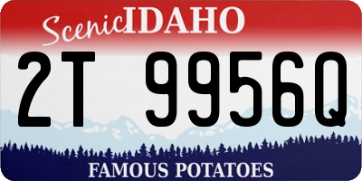 ID license plate 2T9956Q