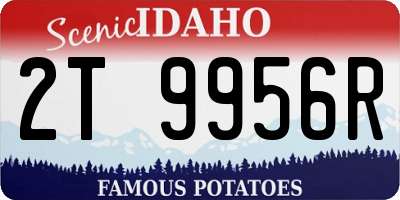 ID license plate 2T9956R