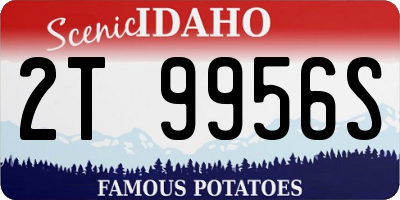 ID license plate 2T9956S