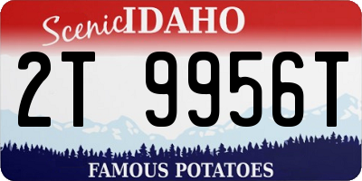 ID license plate 2T9956T