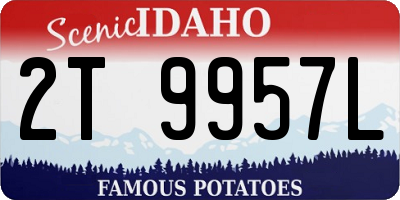 ID license plate 2T9957L