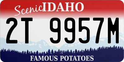 ID license plate 2T9957M