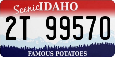 ID license plate 2T9957O