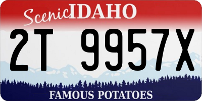 ID license plate 2T9957X