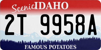 ID license plate 2T9958A