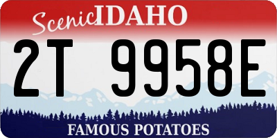 ID license plate 2T9958E