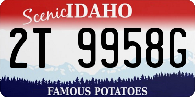 ID license plate 2T9958G