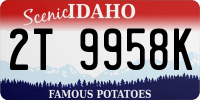 ID license plate 2T9958K