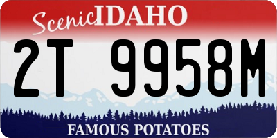 ID license plate 2T9958M