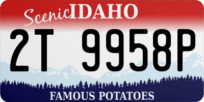 ID license plate 2T9958P