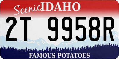 ID license plate 2T9958R