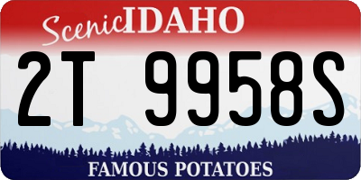 ID license plate 2T9958S