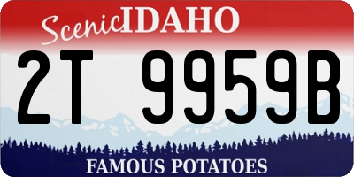 ID license plate 2T9959B