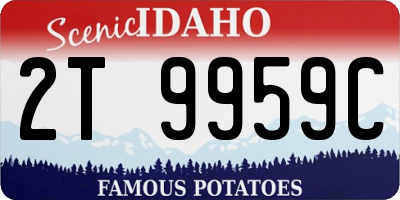 ID license plate 2T9959C