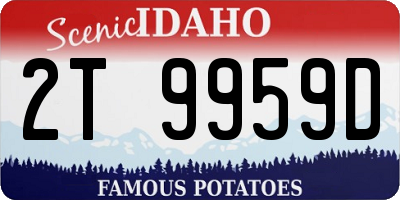 ID license plate 2T9959D