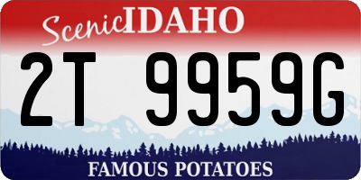 ID license plate 2T9959G