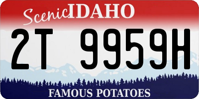 ID license plate 2T9959H