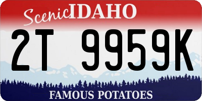 ID license plate 2T9959K