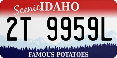 ID license plate 2T9959L