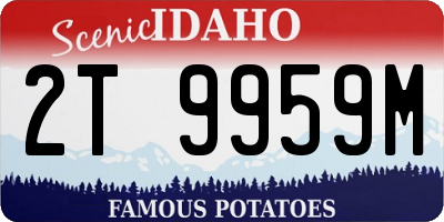 ID license plate 2T9959M