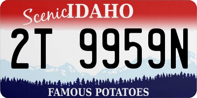 ID license plate 2T9959N