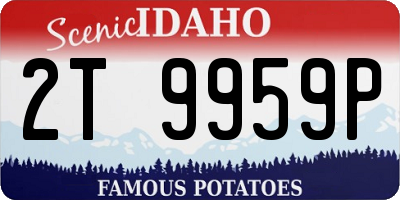 ID license plate 2T9959P