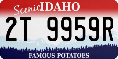 ID license plate 2T9959R