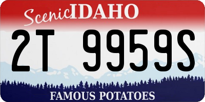 ID license plate 2T9959S