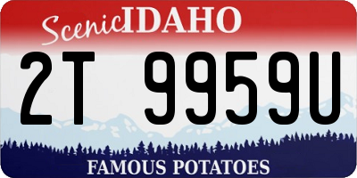 ID license plate 2T9959U