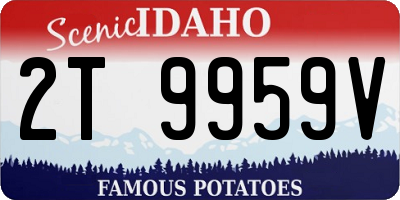 ID license plate 2T9959V