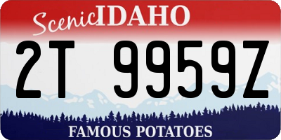 ID license plate 2T9959Z