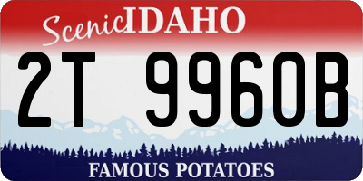 ID license plate 2T9960B