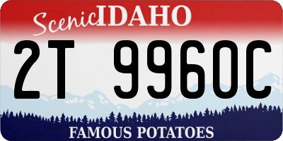 ID license plate 2T9960C