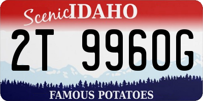 ID license plate 2T9960G