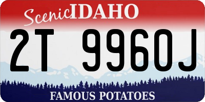 ID license plate 2T9960J