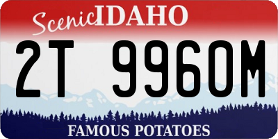 ID license plate 2T9960M