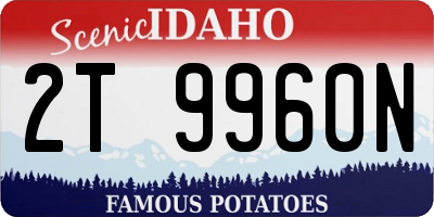 ID license plate 2T9960N