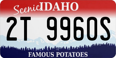 ID license plate 2T9960S