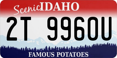 ID license plate 2T9960U