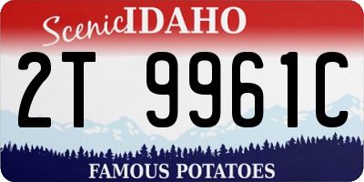 ID license plate 2T9961C