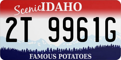 ID license plate 2T9961G