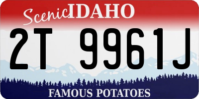 ID license plate 2T9961J