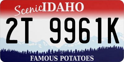 ID license plate 2T9961K