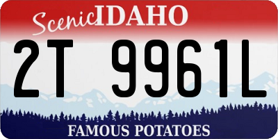 ID license plate 2T9961L
