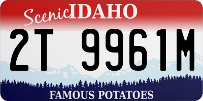 ID license plate 2T9961M