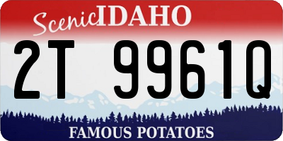 ID license plate 2T9961Q