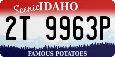 ID license plate 2T9963P
