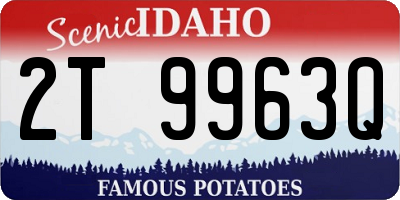 ID license plate 2T9963Q