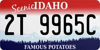 ID license plate 2T9965C