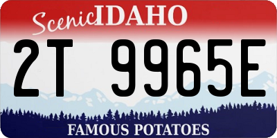 ID license plate 2T9965E